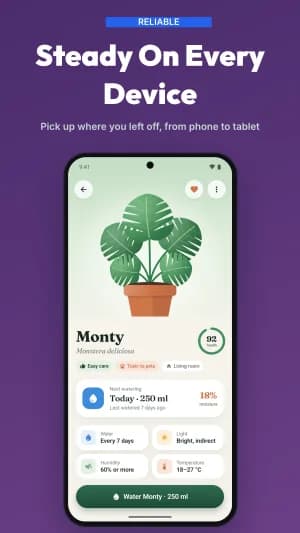Panoramic Flow Google Play screenshot template, slide 7 of 8