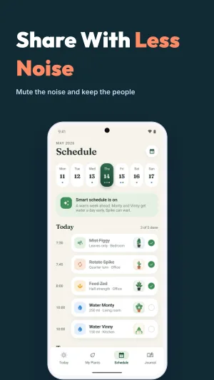 Social Cascade template preview 4