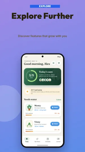 Panoramic Flow template preview 6