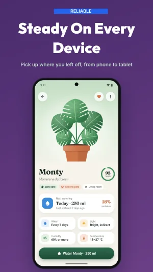 Panoramic Flow template preview 7