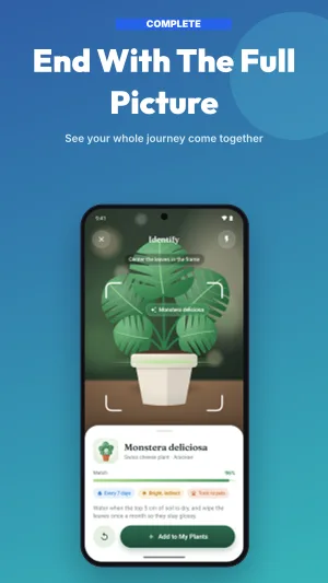 Panoramic Flow template preview 8