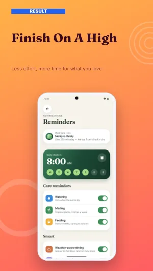 Vibrant Payoff template preview 5