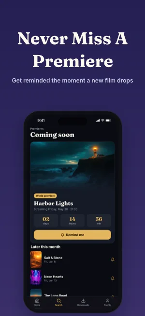 Award Showcase template preview 8