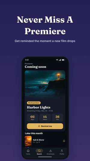 Award Showcase template preview 8