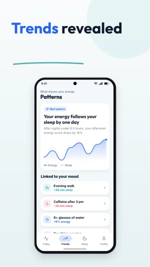 Health Metrics template preview 3